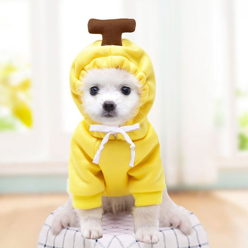Dog Winter Warm Clothes Cute Plush Coat Hoodies for bulldog Pet Costume Jacket