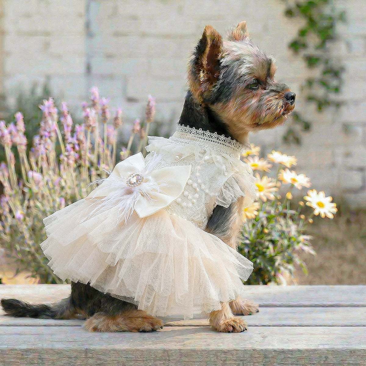 Pet Dog Cat Clothes Cute Small Dog Autumn Winter New Muse Wedding Dress Gown