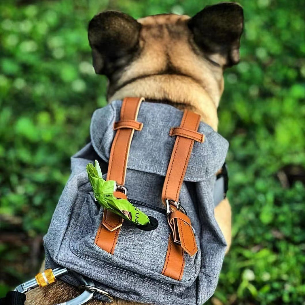 Dog backpack Pet small schoolbag with straps Portable