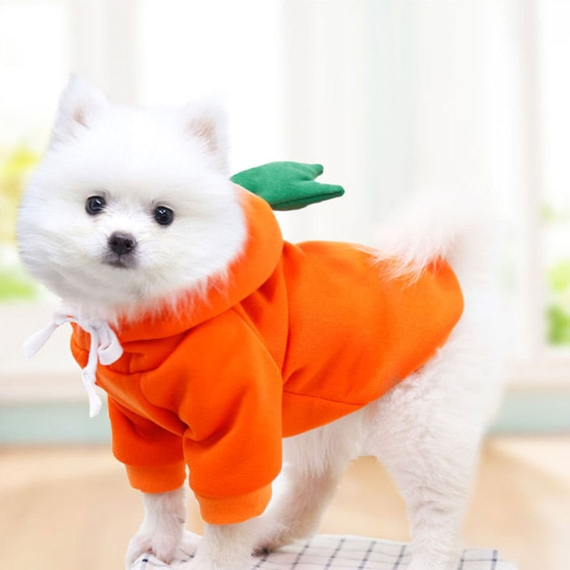 Dog Winter Warm Clothes Cute Plush Coat Hoodies for bulldog Pet Costume Jacket
