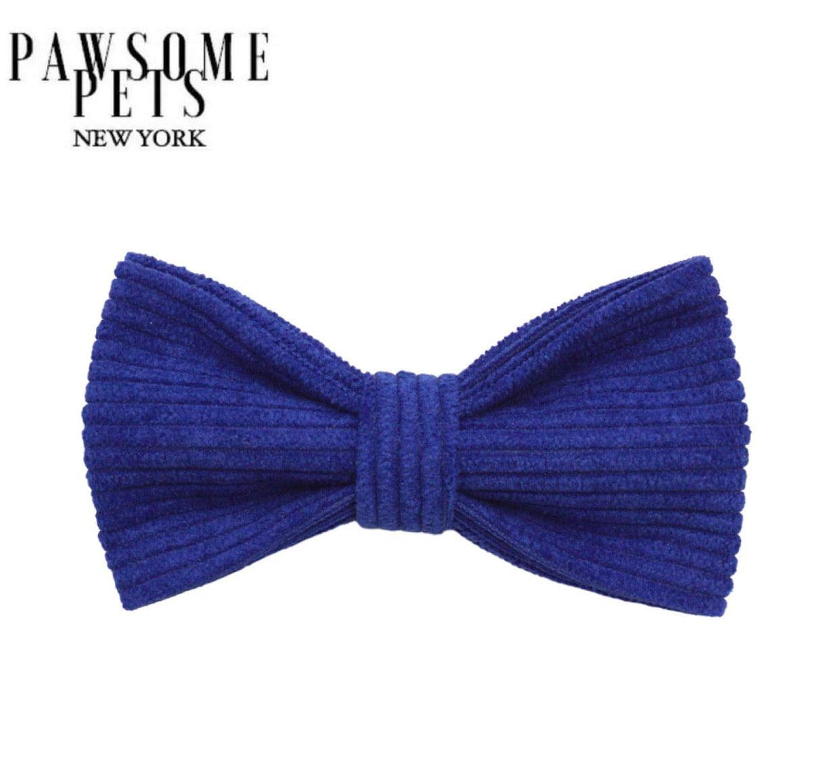BOWTIE - VIVID BLUE