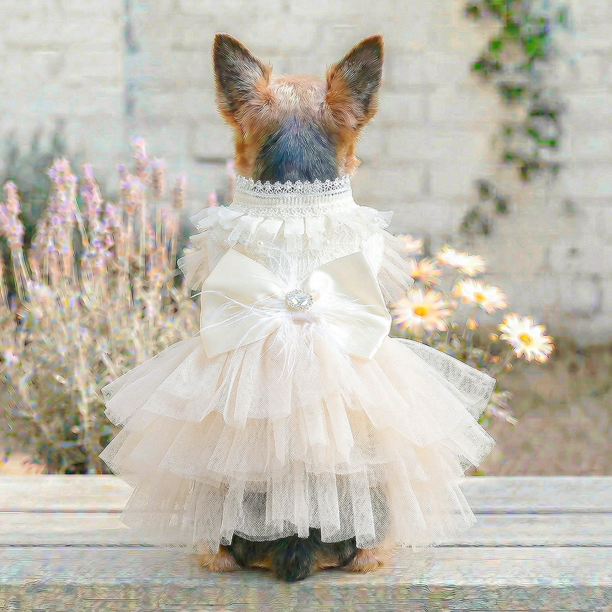 Pet Dog Cat Clothes Cute Small Dog Autumn Winter New Muse Wedding Dress Gown