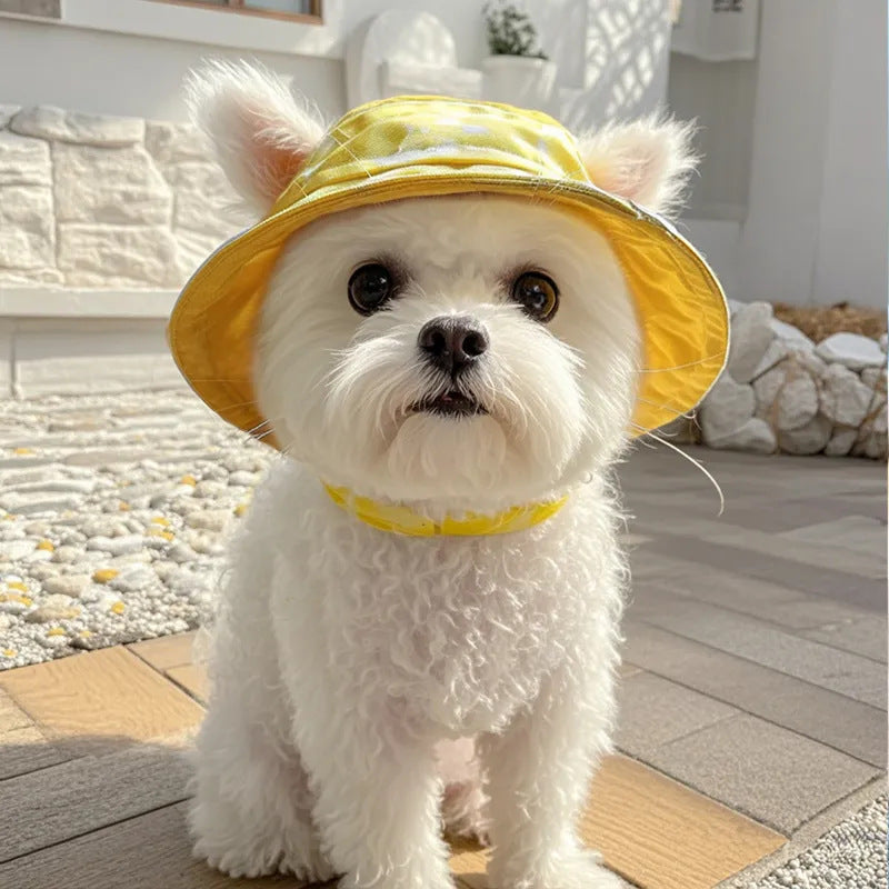 Pet hat cute pet dog exposed ears anti shedding adjustable basin hat small dog
