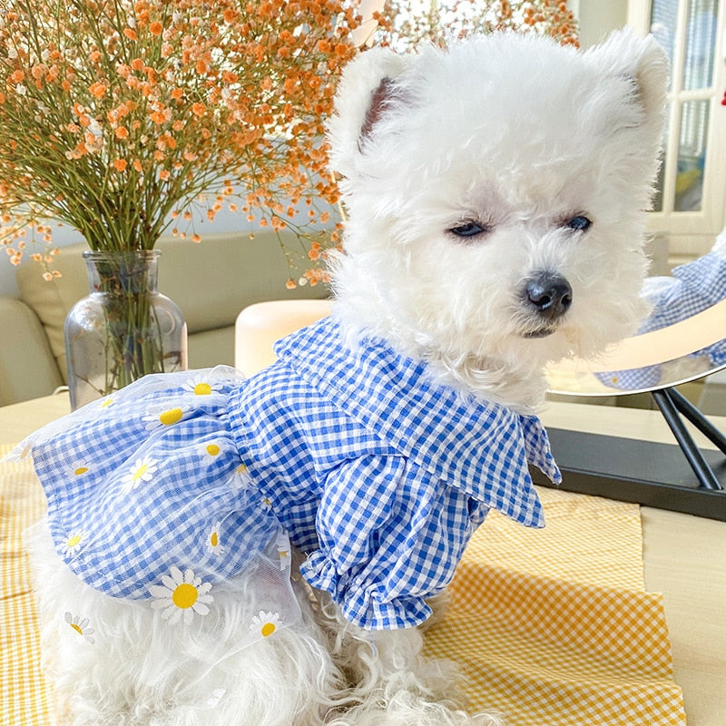 Summer Dog Dress for Dogs Skirt Princess Teddy Grid Pettiskirt Dress Pet Clothes Puppy Costume Spring Pet Clothing