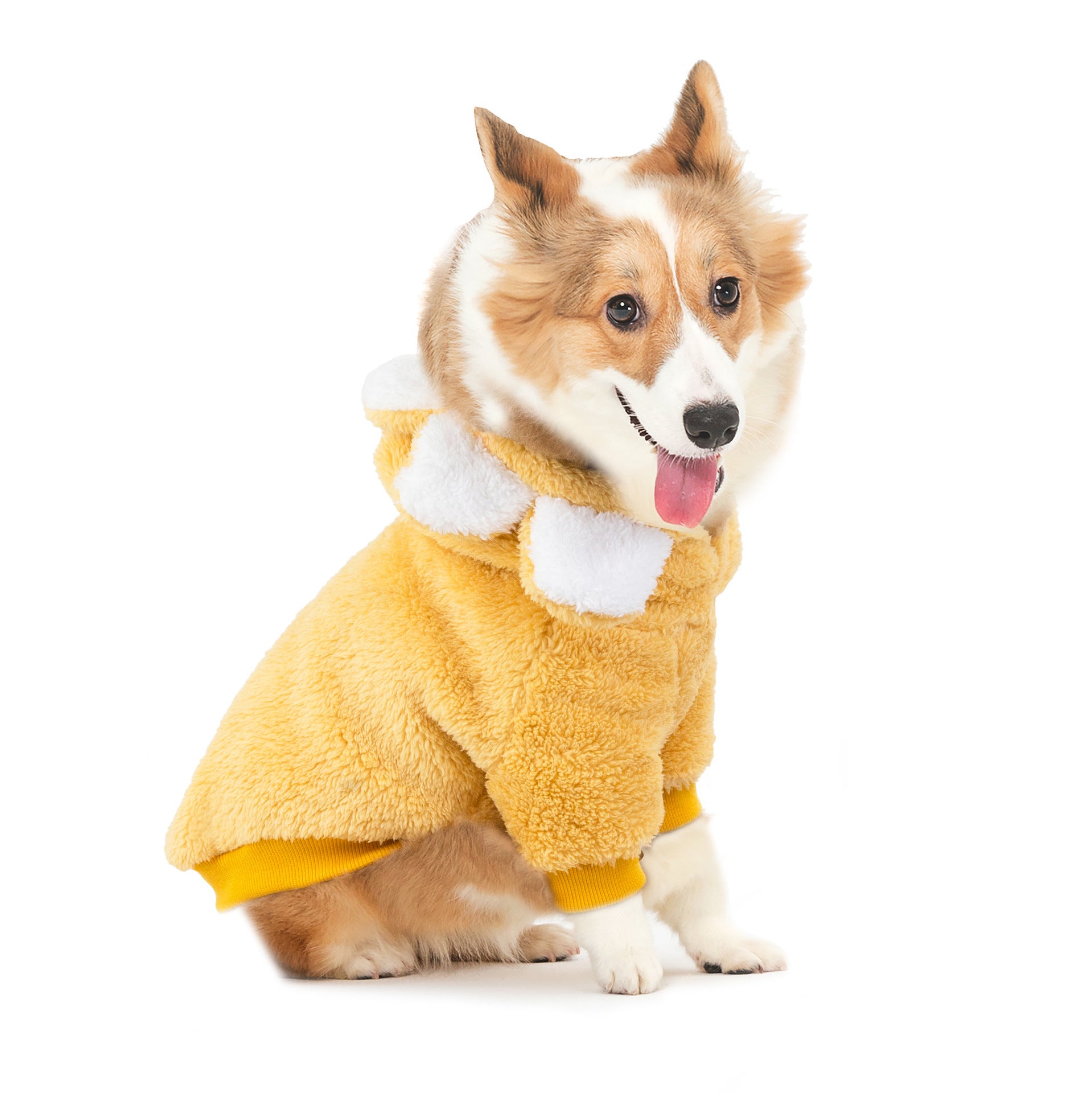 Dog Sun Flower Korean Version Cute Pet Clothes Cotton Sweater Autumn And Winter New Personality Dog Clothes