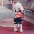 Dog Clothes Summer Thin Denim Skirts Pet Skirts Princess Style Spring Summer Dog Clothes Bow Skirts