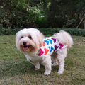 Pet Clothing Spring and Autumn Classic Lapel Cartoon Cute Print Heart Knit Sweater Dog Clothes