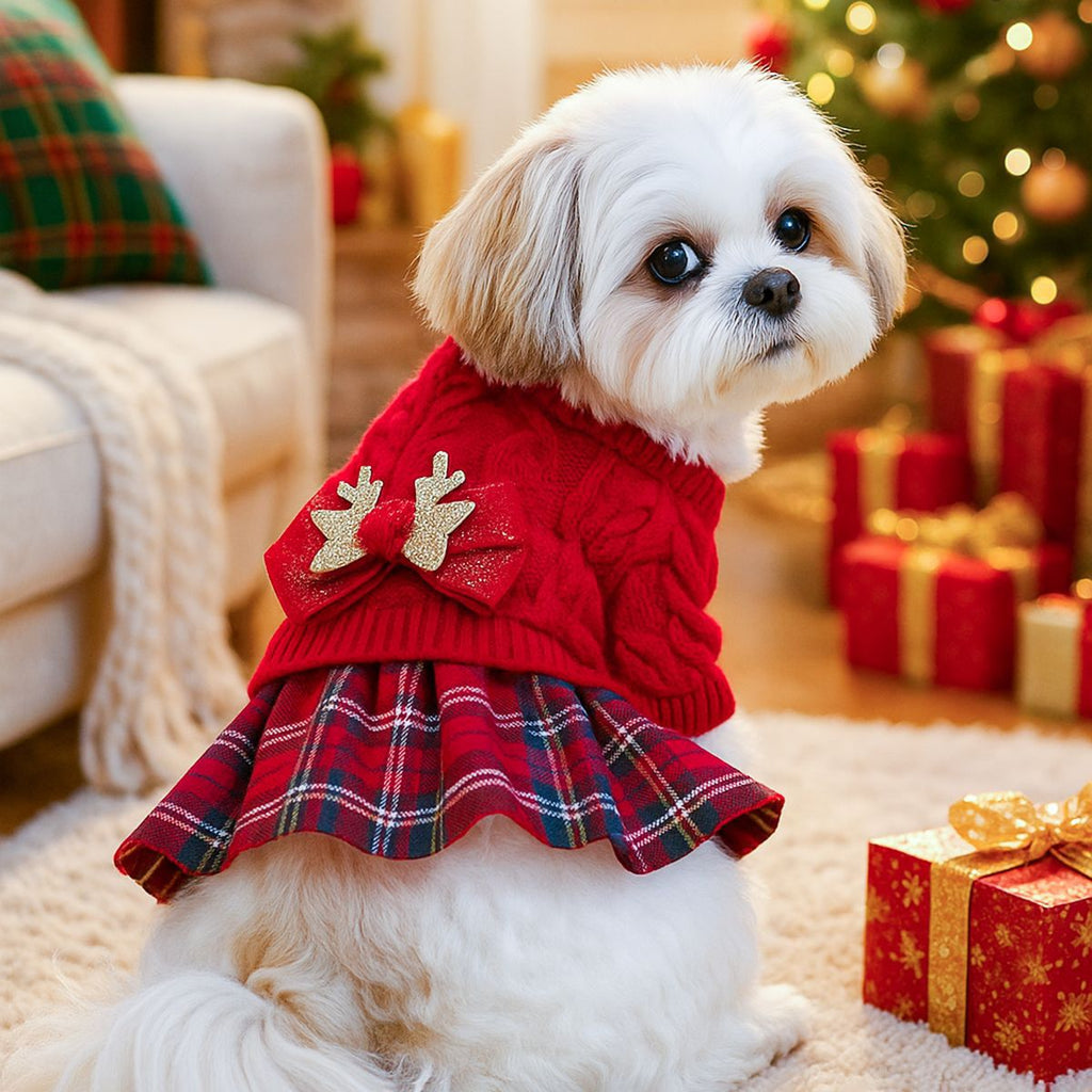 PETCIRCLE Christmas Holiday Knit Sweater Dress for Dogs and Cats Autumn Winter Pet Collection