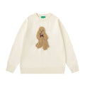 Plush Teddy Dog Sweater