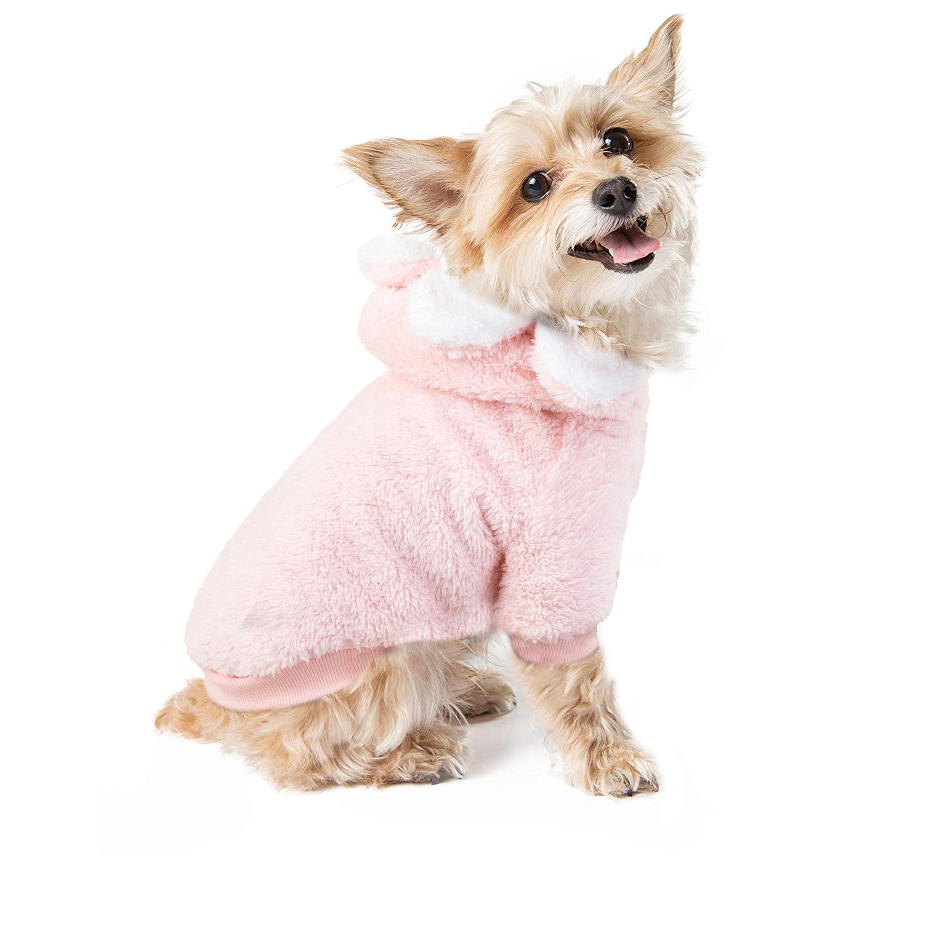 Dog Sun Flower Korean Version Cute Pet Clothes Cotton Sweater Autumn And Winter New Personality Dog Clothes
