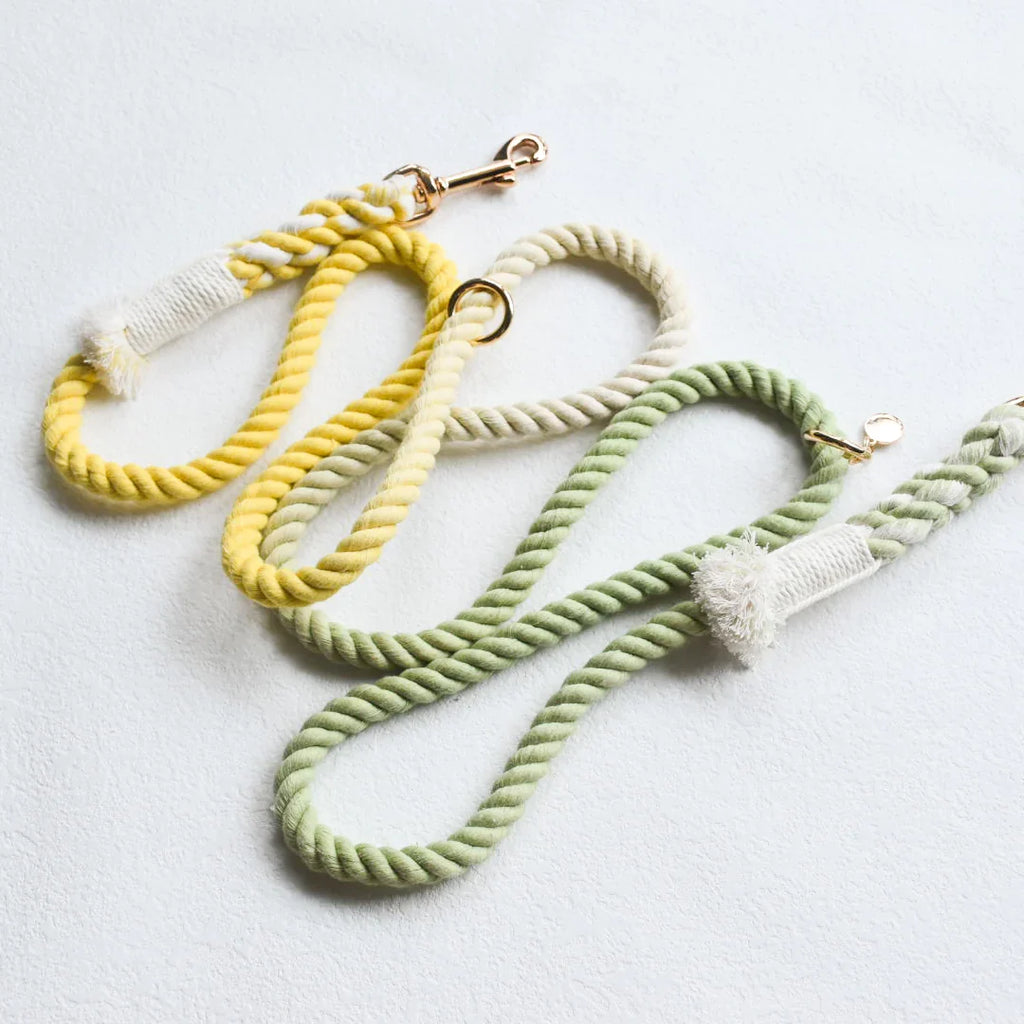 HANDS FREE DOG ROPE LEASH - LIME LEMONADE-0
